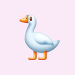 Анастасия А.