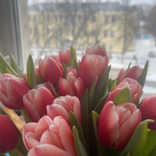 Карина Е