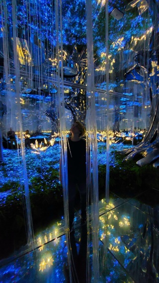 ЛиВсеПрав Го