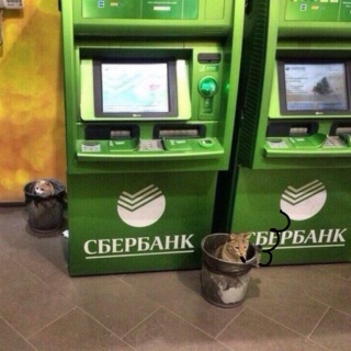 Полина .