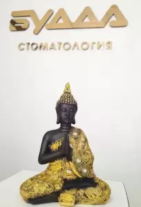 Фотография Дентал-Медикс 3